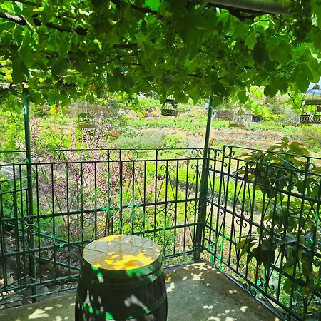 Rural Casa Lolo In וילה איקוד דה לוס וינוס