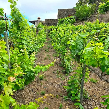 וילה Rural Casa Lolo In איקוד דה לוס וינוס