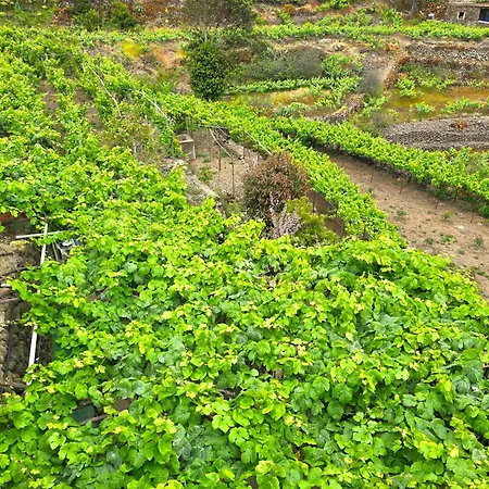 Rural Casa Lolo In *
